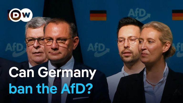 What quelling the far-right AfD party could mean for German democracy - DW News.