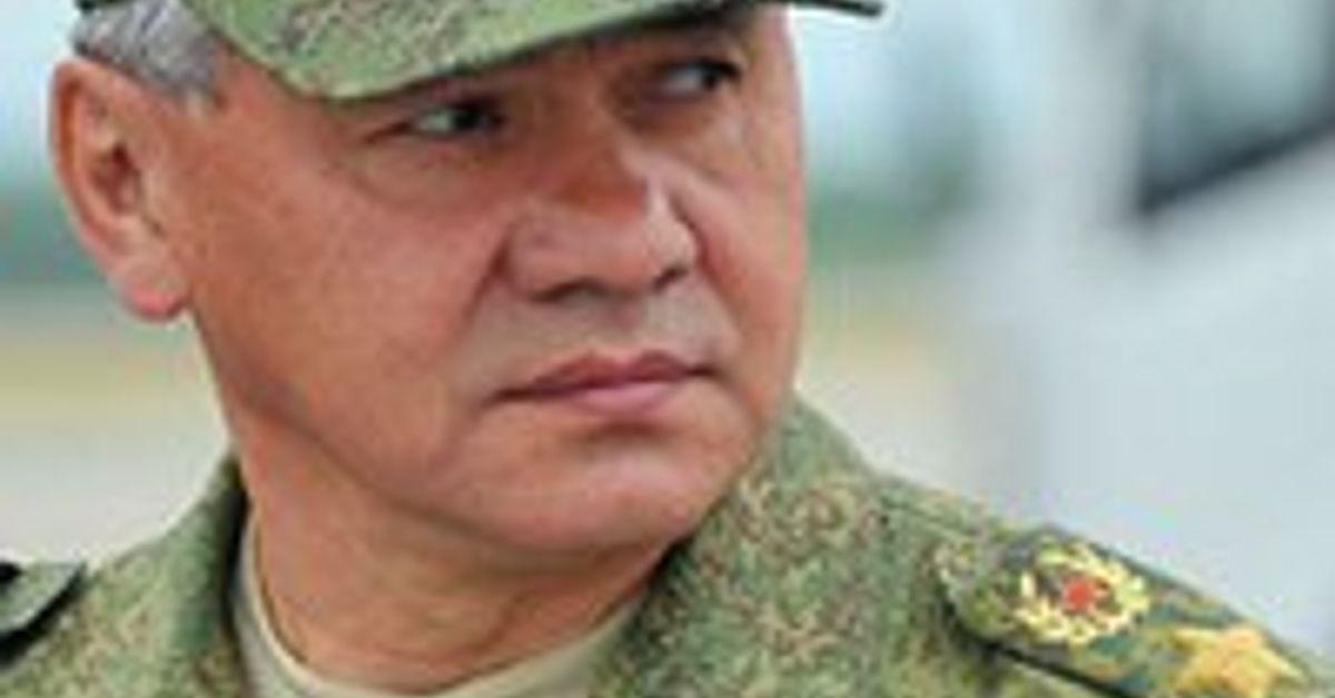Shoigu says more than 16,000 volunteers from Middle East ready to f...