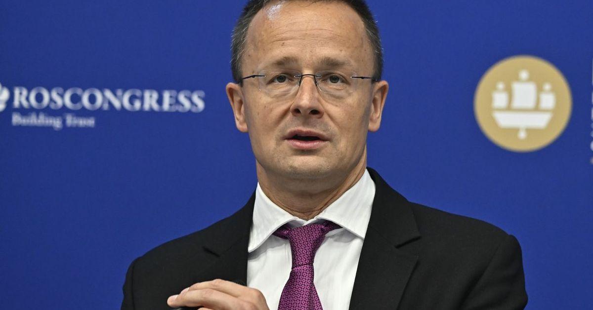 Hungary's FM opposes NATO's long-term Ukraine aid plan, calls it 'c...