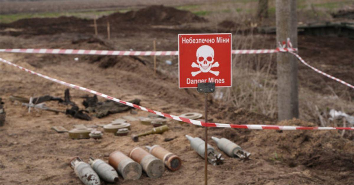 Some 156K sq km in Ukraine potentially mine-contaminated – MOD.