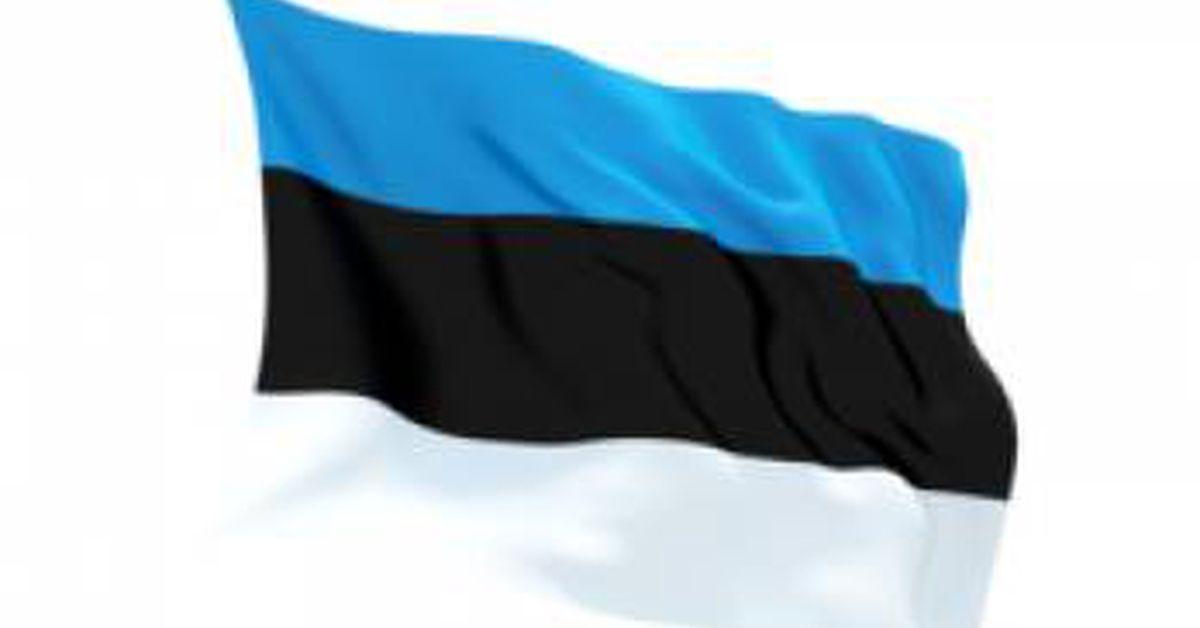 Estonia raises EUR 700,000 to help Ukraine – embassy.