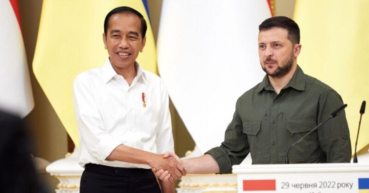 Indonesian Leader 'Conveyed Message' From Zelenskiy To Putin.