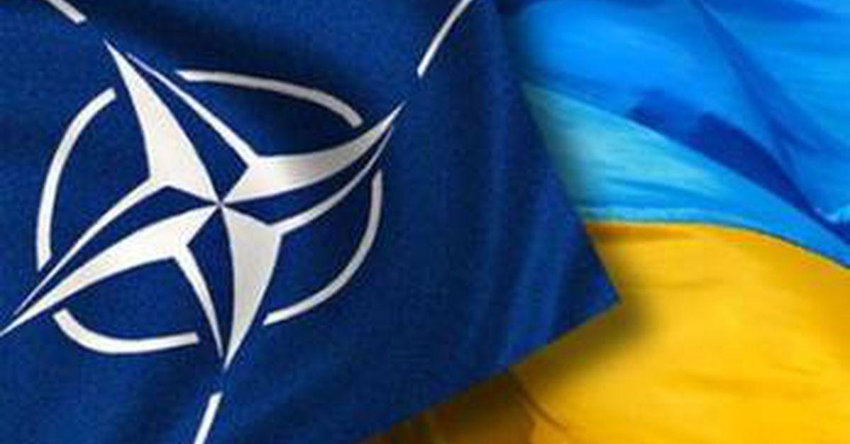 We must assist Ukraine in this war so that Ukraine can join NATO in...