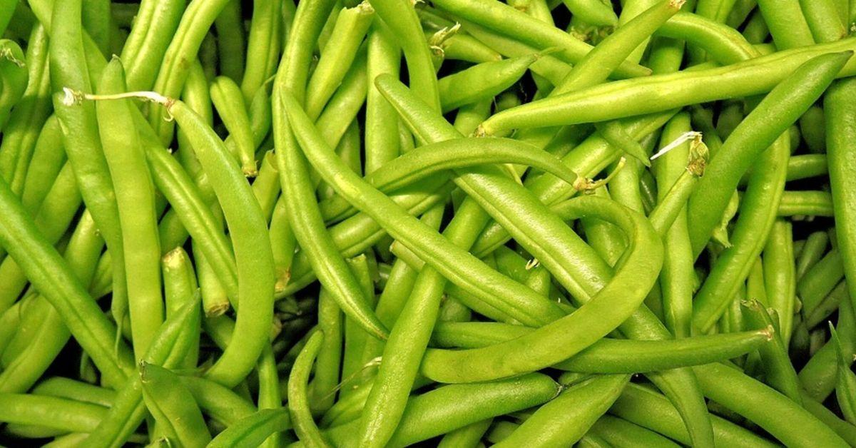 How to cook green beans in a new way: you will need sour cream and ...